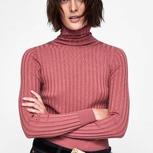 Zara ribbed high neck knit